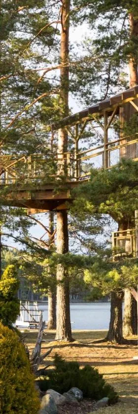 Treehouse Čiekurs, Hotel in Duķuri