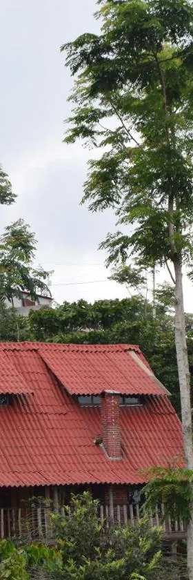 Cabañas los Cedros, Hotel in Cuetzalán del Progreso