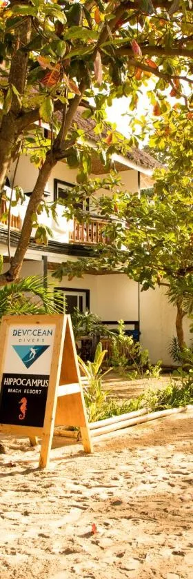 Hippocampus Beach Resort, Hotel in Malapascua
