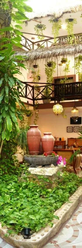 Posada Mariposa Boutique Hotel - 5th Avenue, Hotel in Playa del Carmen