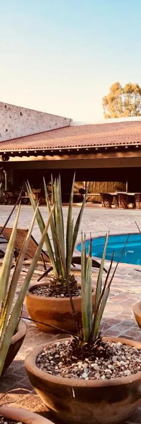 María & Bernardo Casa - Viñedo, Hotel in El Coyote
