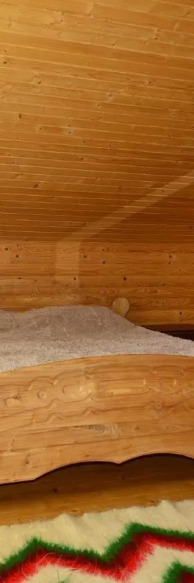 Хатина в Карпатах, Hotel in Werchowyna