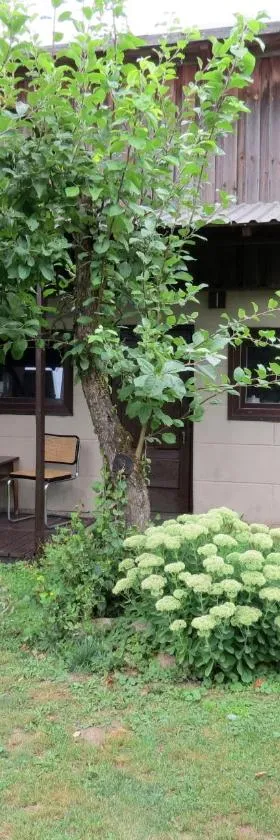 Peters House, Hotel in Iecava