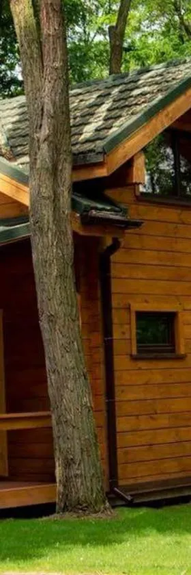 GOL&Wood, Hotel in Stepashki