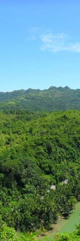 Nuts Huts, Hotel in Loboc
