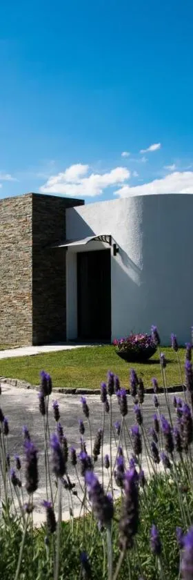 Pizzorno Lodge & Wine, Hotel in Progreso