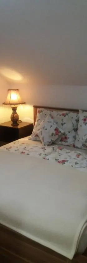 Edo, Hotel in Visoko