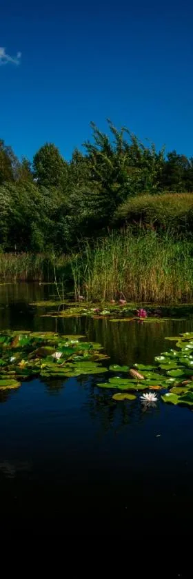 Idilliska Latgaliešu lauku māja ar melno pirti, Hotel in Aglona