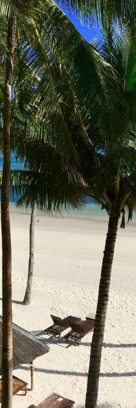 Anda White Beach Resort, Hotel in Anda