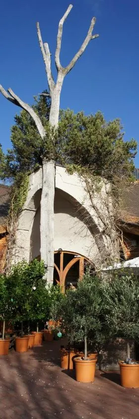 Naturata Hotel, Hotel in Überlingen