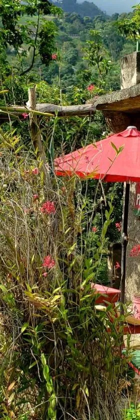 Prince Valley Guesthouse, Hotel in Irish Town