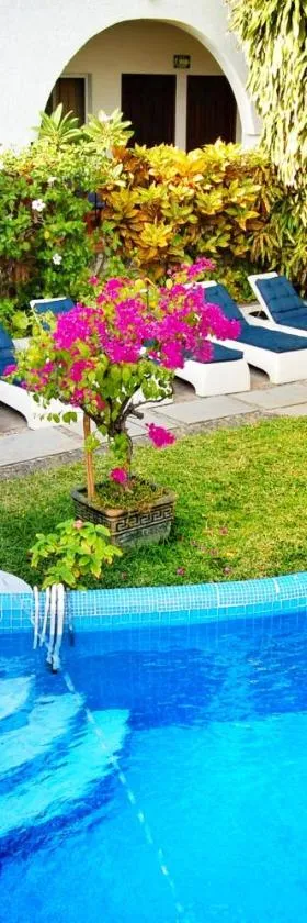 Hotel Delfin, Hotel in Barra de Navidad