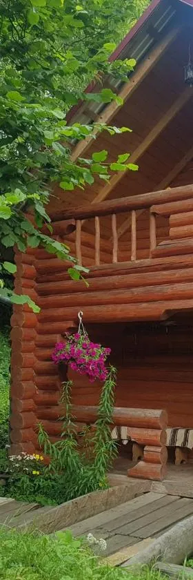 У Медовому Раю, Hotel in Rostoka