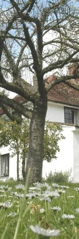The White House, Hotel in Takeley