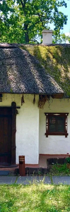 Lisotel, Hotel in Rokytne