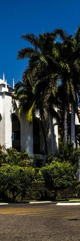 Ixtapa Palace, Hotel in Ixtapa