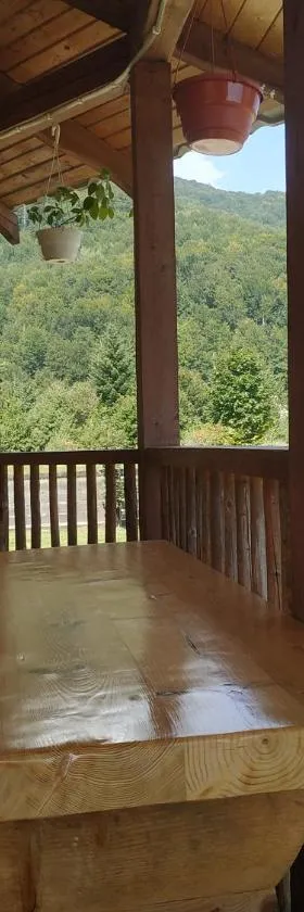 Садиба Свидюків, Hotel in Staryy Mizunʼ