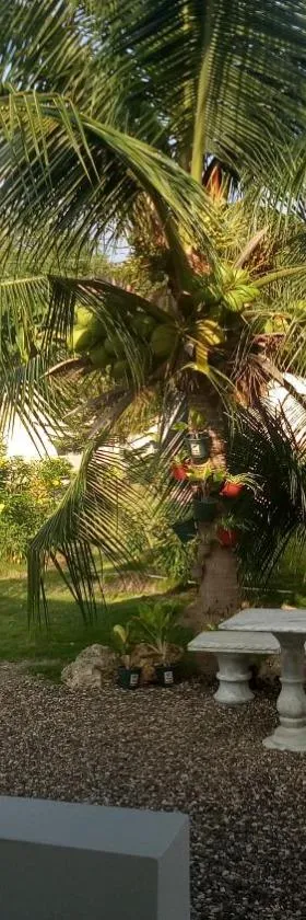 Kathleens Vacation Place, Hotel in Moalboal