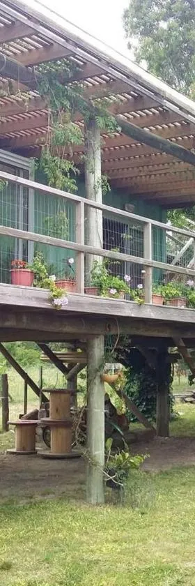 Naturaleza pura, Hotel in Rocha