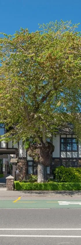 Scenic Hotel Cotswold, Hotel in Christchurch