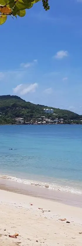 Les Hauts De Caritan, Hotel in Sainte-Anne