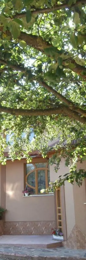 Karpatskiy Domyk, Hotel in Izky