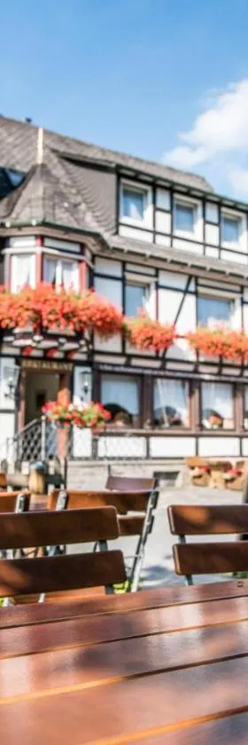 Hotel Hanses-Bräutigam, Hotel in Schmallenberg