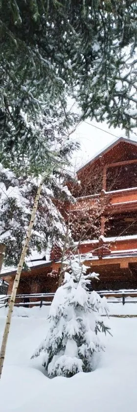 Шаленарозі, Hotel in Myhowe