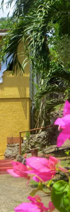 La Familia Guest House and Natural Farm, Hotel in Port Antonio