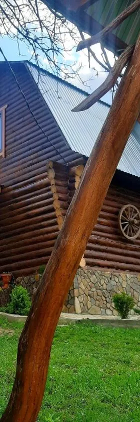Дерев'яний будинок з банею, Hotel in Oriv