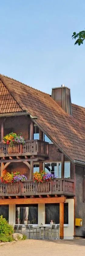 Hotel Hirschen, Hotel in Schluchsee