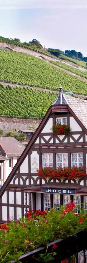 AKZENT Hotel Berg's Alte Bauernschänke- Wellness und Wein, Hotel in Rüdesheim am Rhein