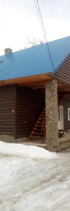 "Відпочинок в Карпатах", Hotel in Izky