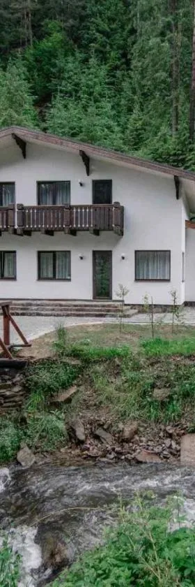 Котедж Грабовець, Hotel in Mischhirja