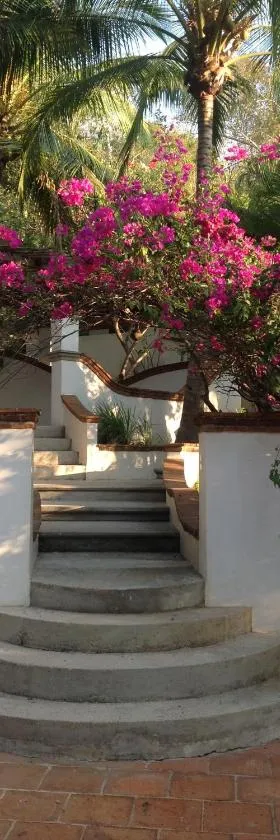 Casa Flor de Mar, Hotel in Zipolite