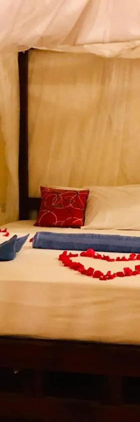 Msafini Hotel, Hotel in Lamu