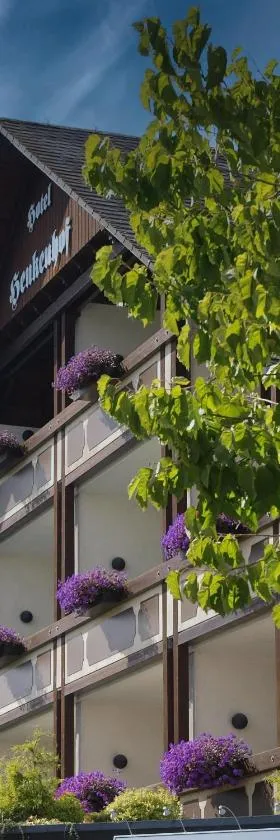 Landhotel Henkenhof Willingen, Hotel in Willingen