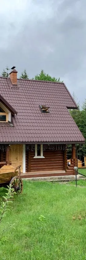 Котедж Гута, Hotel in Guta