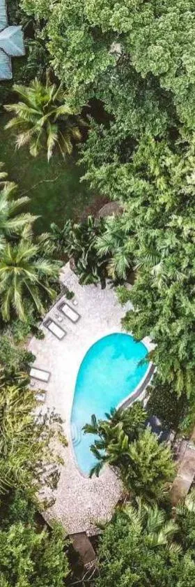 Copal Tree Lodge a Muy'Ono Resort, Hotel in Toledo Settlement