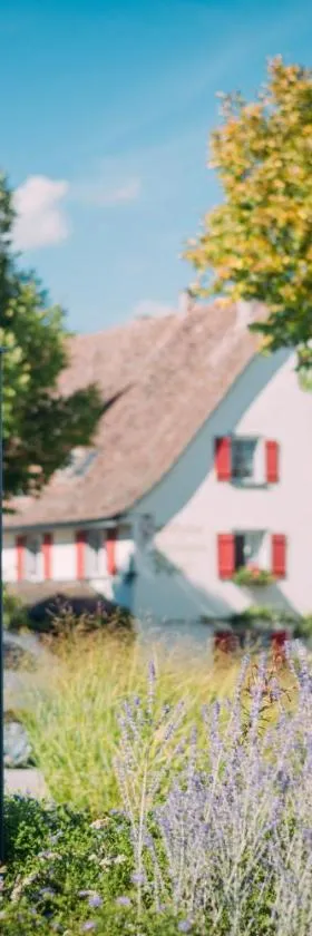 Landgasthof Keller, Hotel in Überlingen