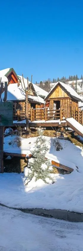Skyta, Hotel in Worochta