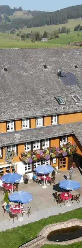 Hotel Zum Löwen - Unteres Wirtshaus, Hotel in Titisee-Neustadt