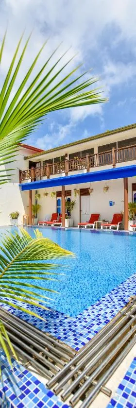 Equatorial Divers Lodge, Hotel in Feydhoo