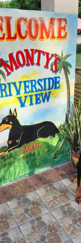 Monty's Riverside View Resort, Hotel in San Antonio