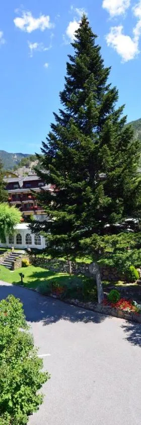 Hotel Coma, Hotel in Ordino