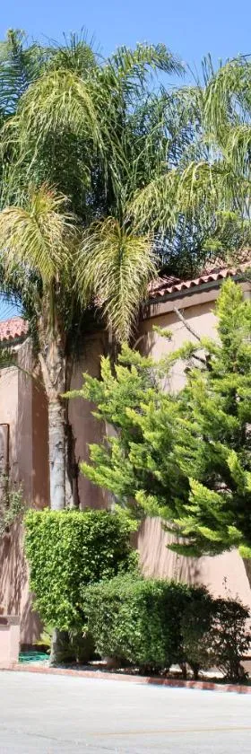 Estancia Inn, Hotel in Tecate