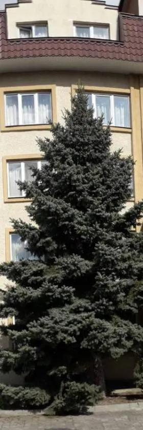 Prykarpattya, Hotel in Iwano-Frankiwsk