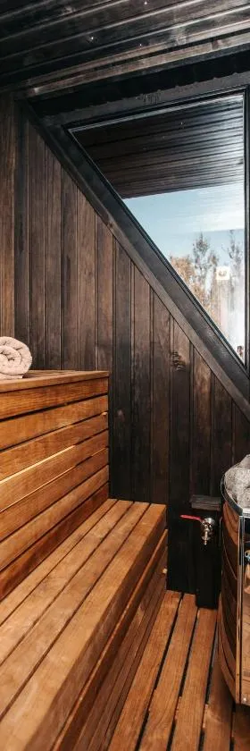 Sniegi Apartments with sauna, Hotel in Madona