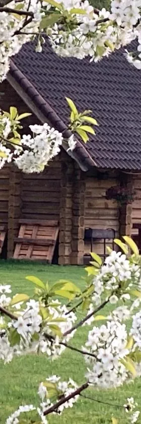 Mežupes, Hotel in Tūja