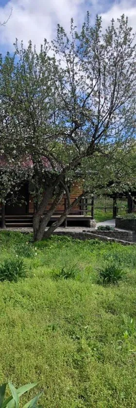 Будинок для відпочинку в лісі, Hotel in Berëzovka